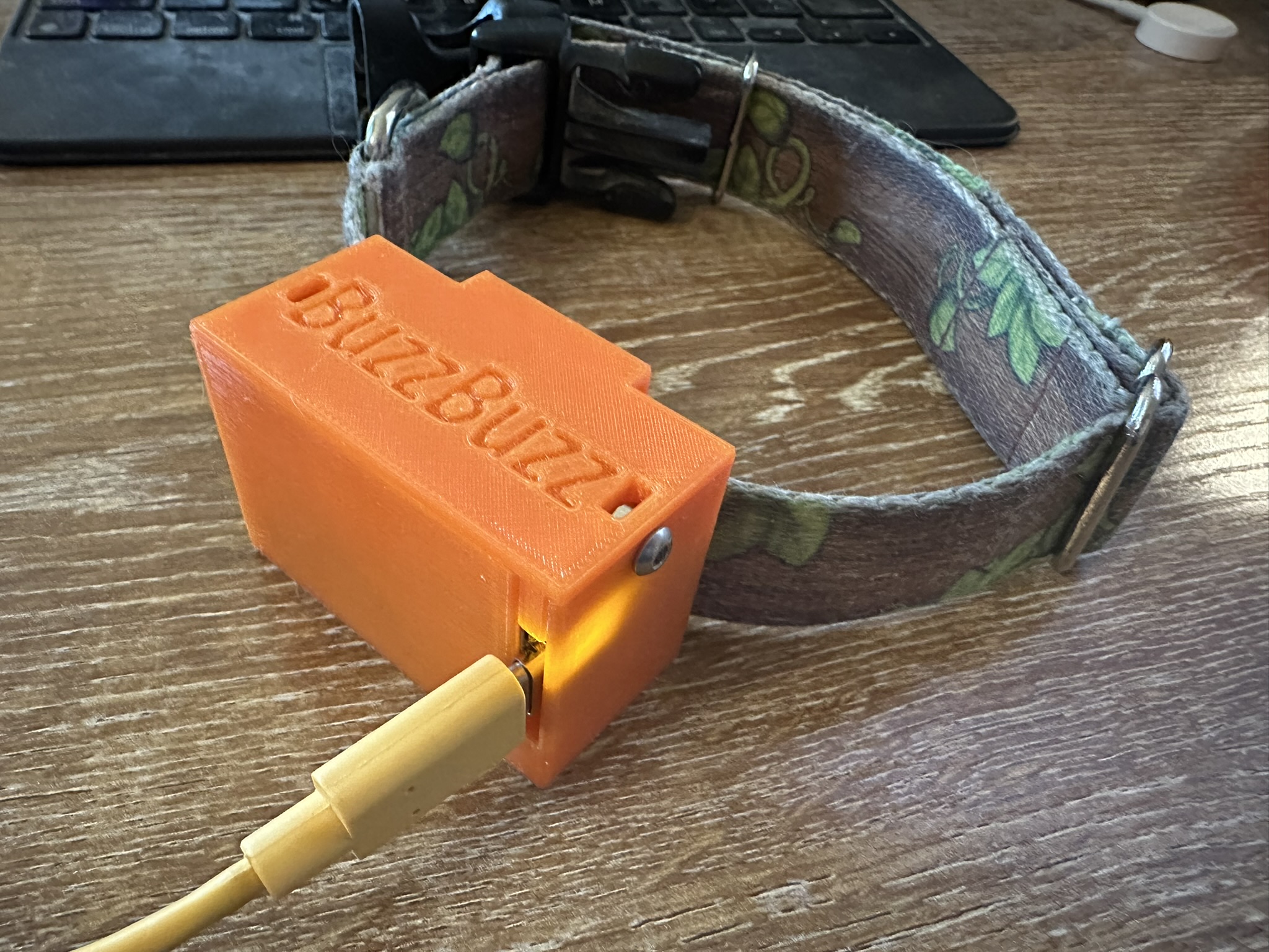 3D printed box that says BuzzBuzz on it, a USB-C cable is plugged into the side of the box. The box is mounted on an old dog collar.